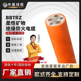 BBTRZ电缆