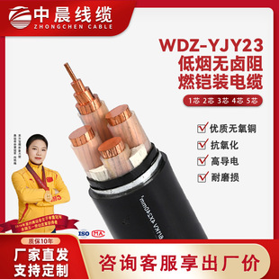 WDZ-YJV23电缆