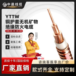YTTW防火电缆
